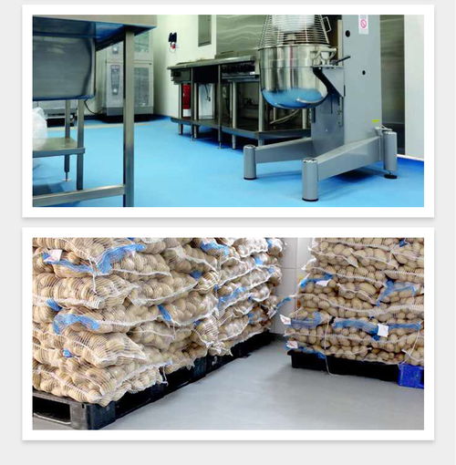 高密度防渗透聚氨酯砂浆与橡胶制品 食品厂地面材料的卓越选择