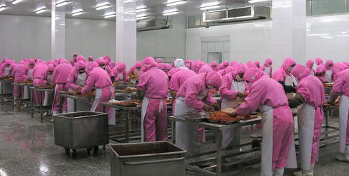 食品加工厂潮湿环境下橡胶制品的维护与解决方案